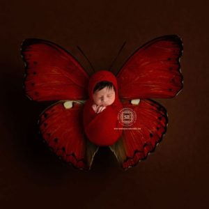 NB (82)