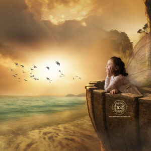 Fairy 6