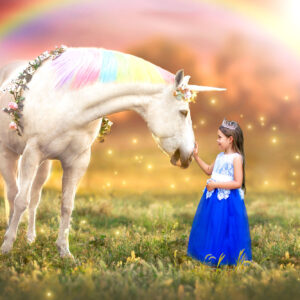 Unicorn 1
