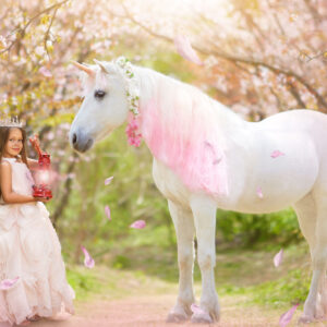Unicorn 2