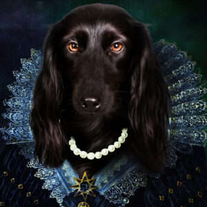 ROYAL PET 1