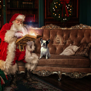 PETXMAS 2